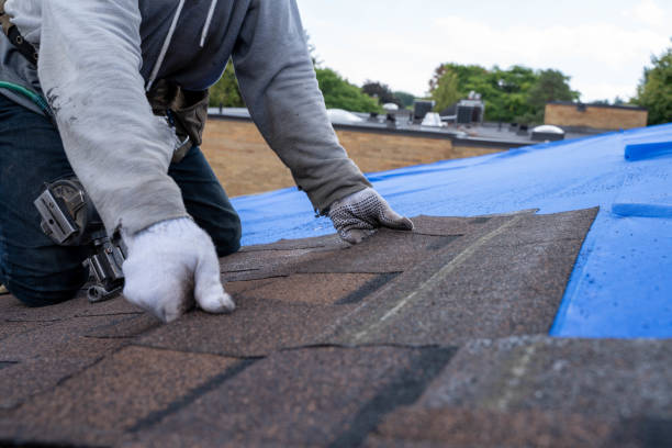 Professional Roofing Contractor in Pine Canyon, CA