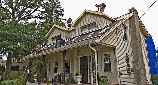 Best Roof Maintenance Services  in Pine Nyon, CA